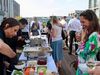 Veranstaltungsteilnehmende bei blauem Himmel und Sonnenschein am Buffet des Get-Togethers des FRM MICE Networks auf der Dachterrasse des Belle Roofgarden.